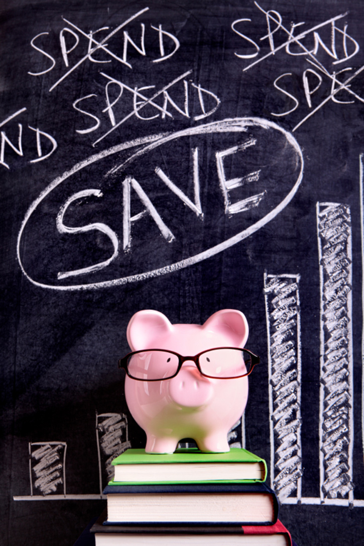 Spend vs. Save Piggybank