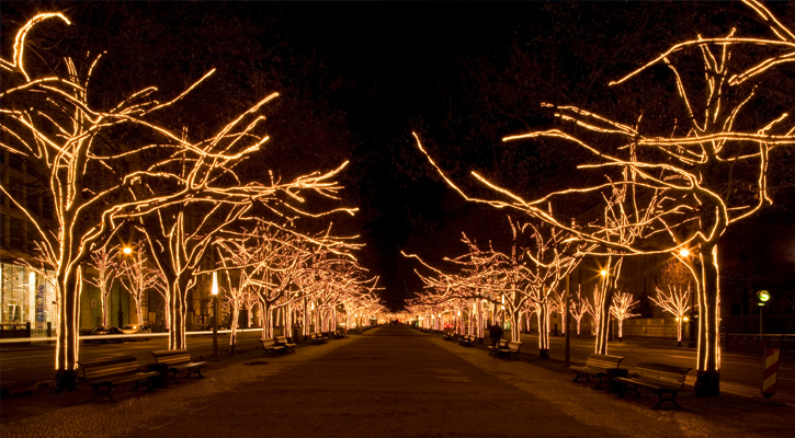 street view of christmas lights on trees