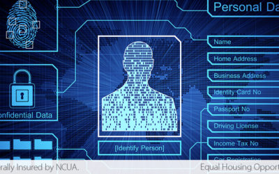 screen image of personal information